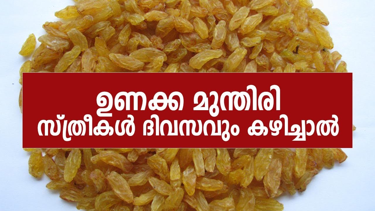 ഉണക്കമുന്തിരി സ്ഥിരമായി സ്ത്രീകൾ കഴിച്ചാൽ ഉണ്ടാകുന്ന മാറ്റങ്ങൾ.