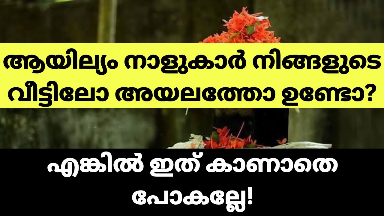 ആയില്യം നക്ഷത്രക്കാരെ കുറിച്ചുള്ള ഈ രഹസ്യങ്ങൾ അറിയാതെ പോകരുത്