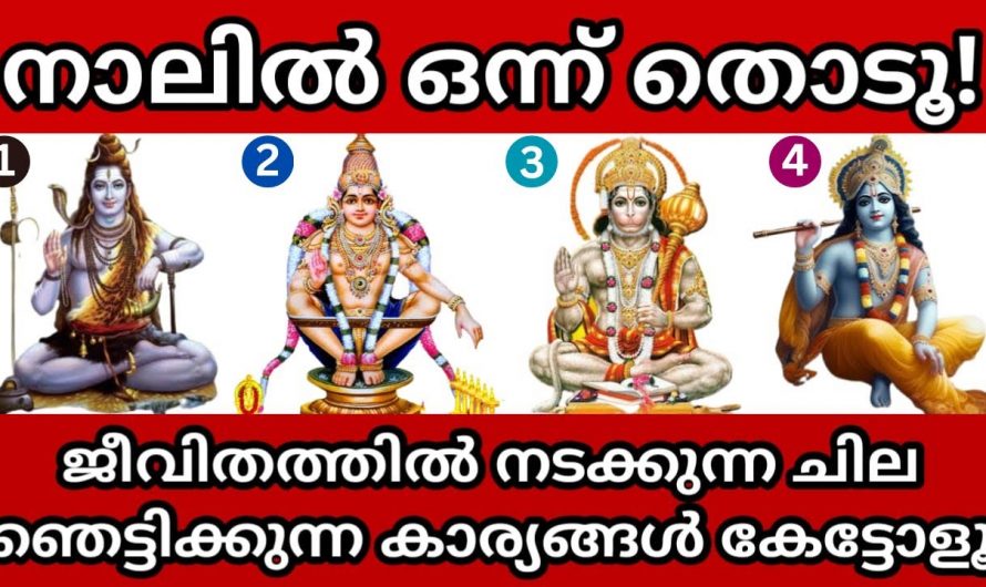 ഒന്ന് തൊട്ടാൽ മതി ഈ ചിത്രങ്ങൾ നിങ്ങളുടെ ജീവിതം മുഴുവൻ പറയും.