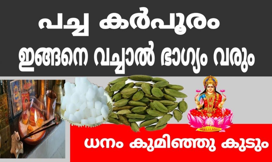 ഈ ഒരു വസ്തു മതി നിങ്ങളുടെ വീട്ടിൽ പണം കുമിഞ്ഞു കൂടും.