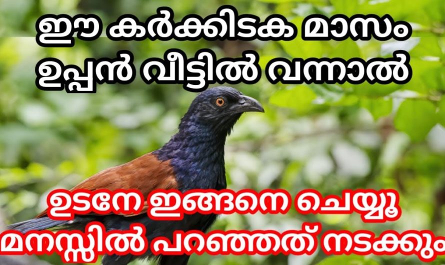 കർക്കിടക മാസത്തിൽ ഉപ്പനെ കണ്ട ഉടനെ ഇങ്ങനെ ചെയ്യണം.