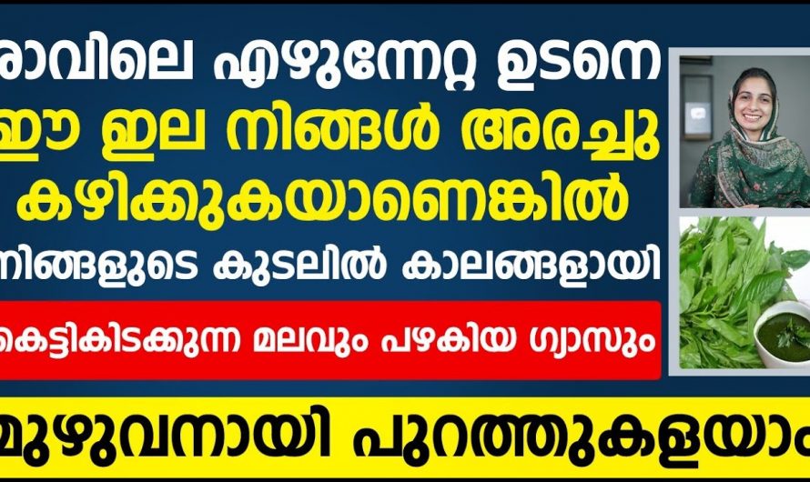 എത്ര പഴകിയ മലവും പുറത്തു കളയുന്ന ഒരു ഇല.