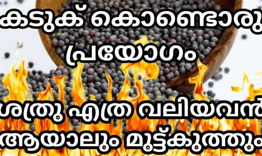 അല്പം കടുക് മാത്രം മതി എത്ര വലിയ ശത്രുവിനെയും ഒറ്റയടിക്ക് വീഴ്‌ത്താം.