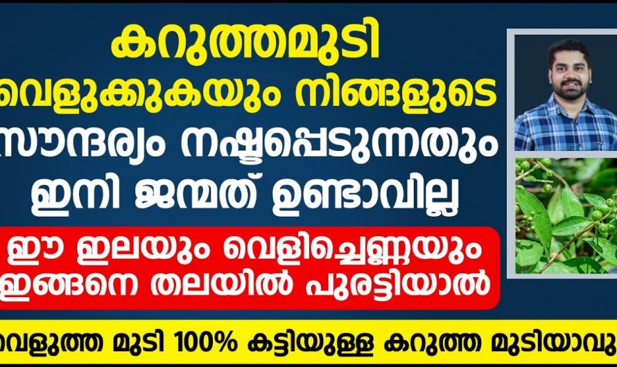 തലമുടി ഇനി വേരോടെ കറുക്കും ഈ ഒരു ഇല മതി.