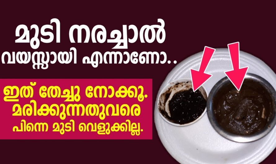 ഇതിന്റെ റിസൾട്ട് കണ്ടാൽ നിങ്ങൾ ഞെട്ടിപ്പോകും അതുറപ്പാണ്. നാച്ചുറൽ കറുപ്പുള്ള മുടിയിഴകൾ നിങ്ങൾക്കും നേടാം.