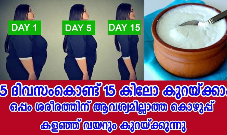 ഒരു ദിവസം ഒരു കിലോ കുറയും, വയറും കൊഴുപ്പും പോകും.