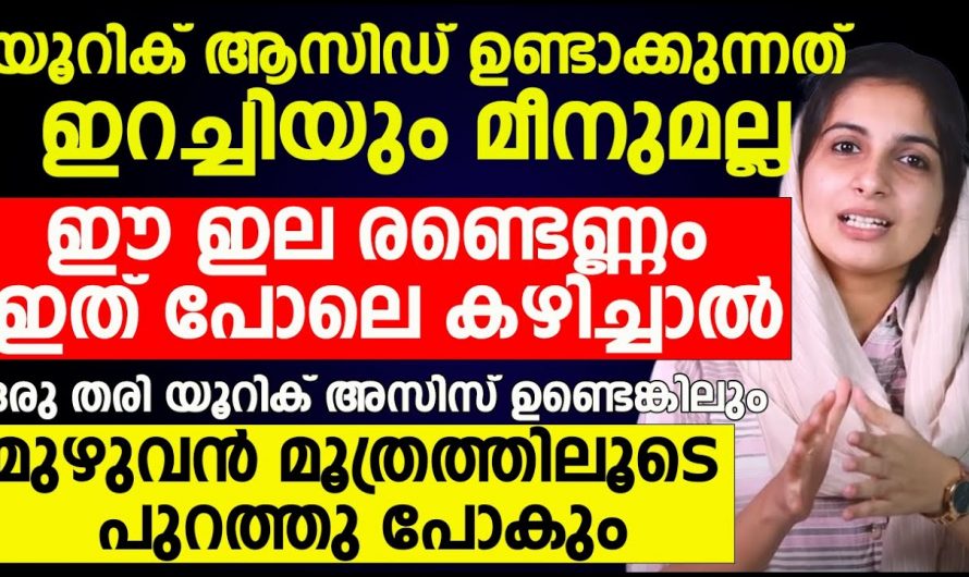 യൂറിക് ആസിഡ് ഉണ്ടാകുന്നതിന് ഇറച്ചി മാത്രമല്ല കാരണം. ദിവസവും ഈ ഇല കഴിച്ചുനോക്കൂ.