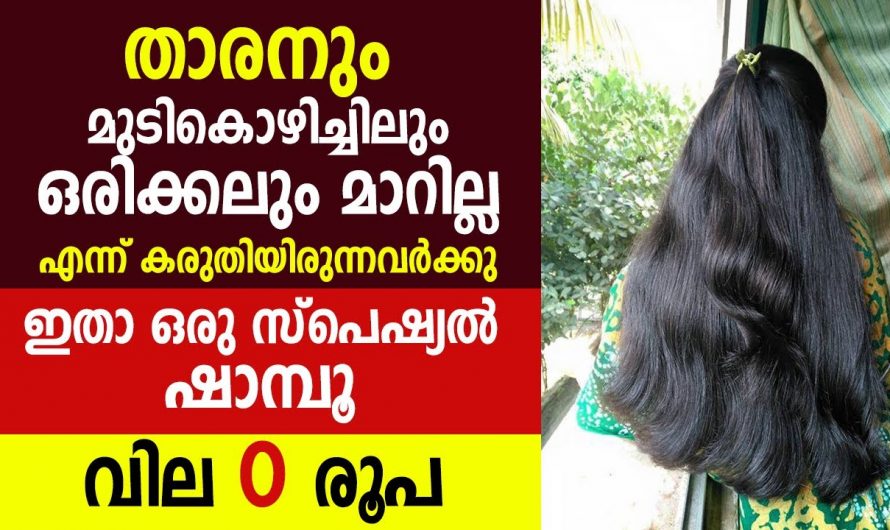 ഇനി താരനെ തുരത്താം പ്രകൃതിദത്തമായി. ഈ ഇല മാത്രം മതി.