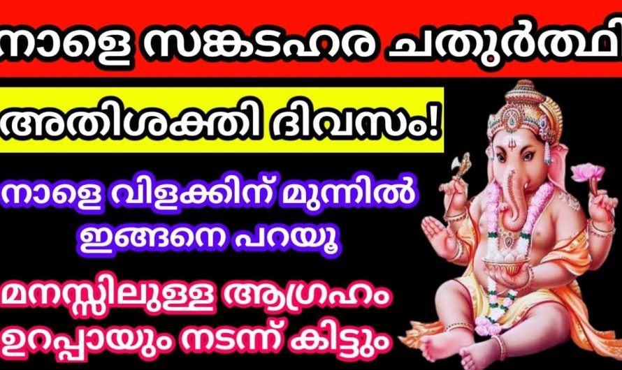 നാളത്തെ ദിനം നിലവിളക്കിന് മുൻപിൽ ഇരുന്ന് ഇങ്ങനെ പറഞ്ഞാൽ മനസ്സിലെ ഏത് ആഗ്രഹവും സാധിക്കും.