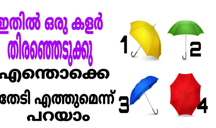 നാലിൽ ഒരു കുട തിരഞ്ഞെടുക്കു നിങ്ങളെ കുറിച്ചുള്ള നഗ്ന സത്യങ്ങൾ അറിയാം