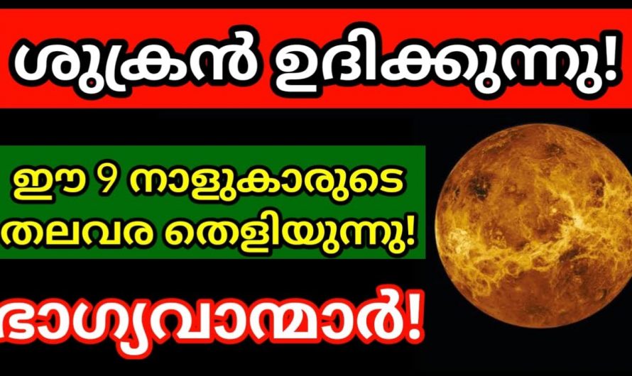 നിങ്ങൾക്കും ഭാഗ്യം തെളിയുകയാണ്, ജീവിതത്തിൽ ഇനി ശുക്രനാണ്.