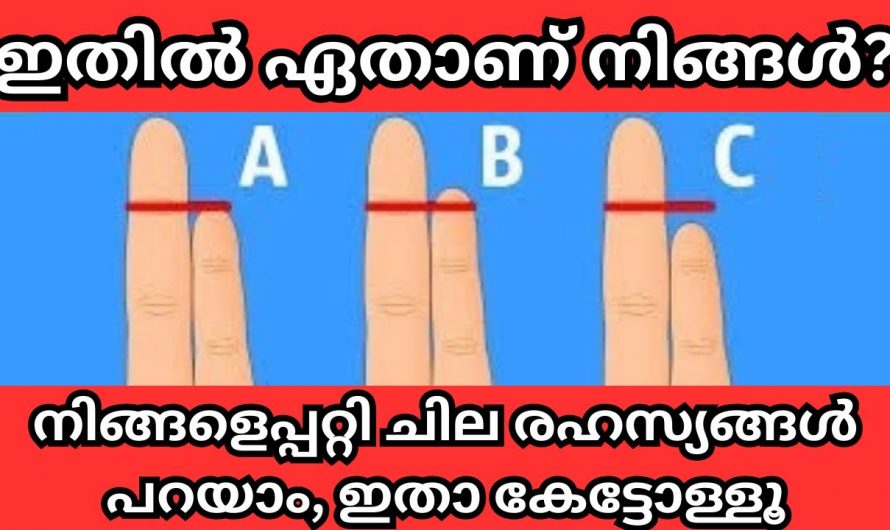 നിങ്ങളുടെ വിരലിന്റെ നീളത്തിൽ എന്നറിയാം നിങ്ങളുടെ ജീവിതത്തിന്റെ നിഗൂഢതകൾ.