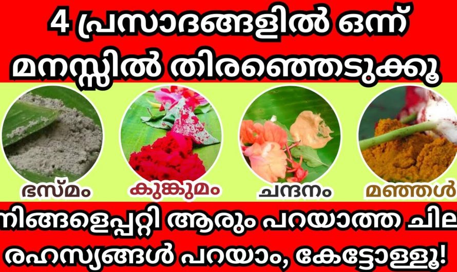 നിങ്ങൾ തിരഞ്ഞെടുക്കുന്ന ഈ പ്രസ്ഥാനത്തിലൂടെ അറിയാം നിങ്ങളുടെ ജീവിതത്തെ.