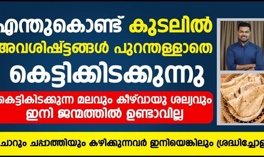 ദഹന പ്രശ്നങ്ങളെയും താരൻ പ്രശ്നങ്ങളെയും ഒരുമിച്ച് പ്രതിരോധിക്കാം.