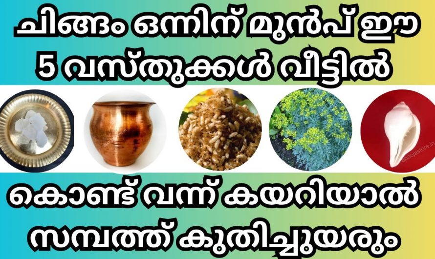 ചിങ്ങം ഒന്നിനു മുൻപ് ഈ വസ്തുക്കൾ വീട്ടിൽ കൊണ്ടുവരു ഐശ്വര്യം കൺമുന്നിൽ എത്തും.