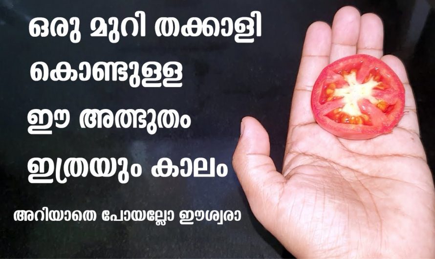 നിങ്ങളും അത്ഭുതപ്പെട്ടുപോകും, തക്കാളിയുടെ ഈ ഒരു കഷണം മാത്രം മതി.