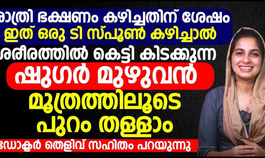 നിങ്ങളും ഒരു പ്രമേഹ രോഗിയാണോ, നിങ്ങളുടെ പ്രമേഹവും കൊളസ്ട്രോളും ഇങ്ങനെ എളുപ്പം നിയന്ത്രിക്കാം.