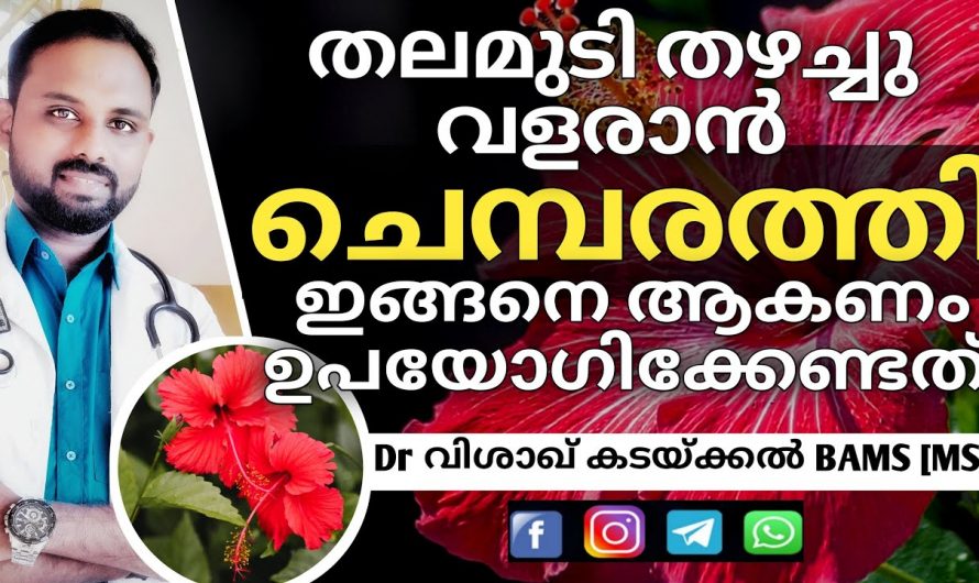 നിങ്ങളുടെ തലമുടി തഴച്ചു വളരാനും, കരുത്തുറ്റതാക്കാനും  ചെമ്പരത്തി ഇങ്ങനെ ഉപയോഗിക്കാം.