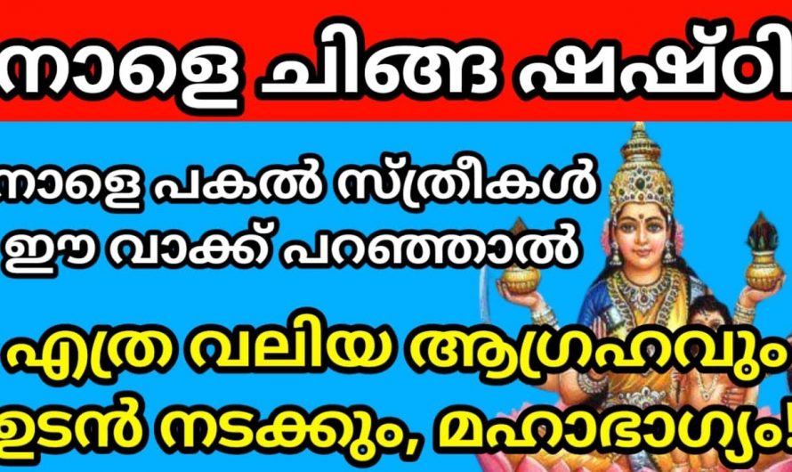 ചിങ്ങമാസത്തിലെ പ്രത്യേകതയുള്ള ദിവസം ചിങ്ങസൃഷ്ടി. നിങ്ങളും ഈ കർമ്മങ്ങൾ ചെയ്യുമെങ്കിൽ  നടക്കാത്ത ആഗ്രഹവും നടക്കും.