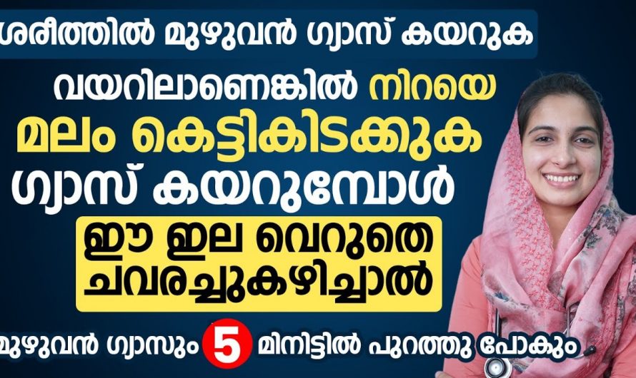 അസിഡിറ്റിയും ഗ്യാസും കൊണ്ട് നിങ്ങൾ വലഞ്ഞോ, എങ്കിൽ ഇത് ഒരു സ്പൂൺ കഴിച്ചാൽ മതി.