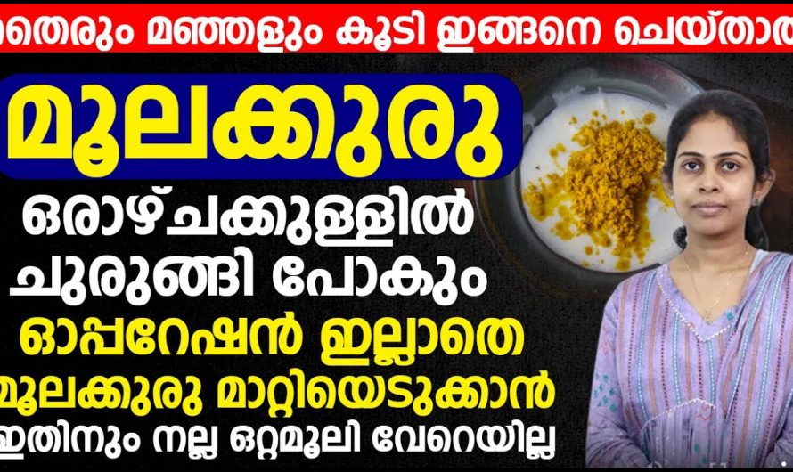 ഈ ഫ്രൂട്സ് ശീലമാക്കിയാൽ ഒരു ഓപ്പറേഷനും ഇല്ലാതെ മൂലക്കുരു മാറ്റാം.