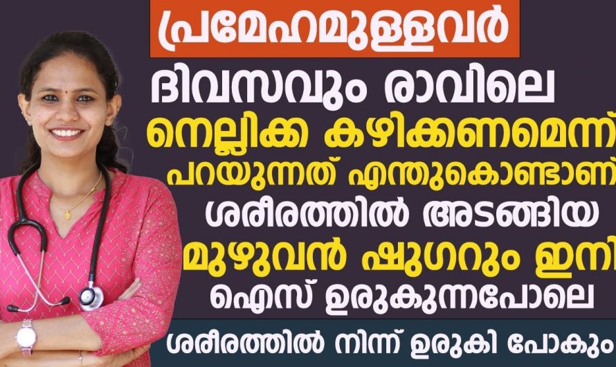 ദിവസവും ഇത് ഒരെണ്ണം ഇങ്ങനെ കഴിച്ചാൽ നിങ്ങളുടെ ശരീരത്തിലെ എല്ലാ രോഗങ്ങൾക്കും പ്രതിവിധിയാകും.