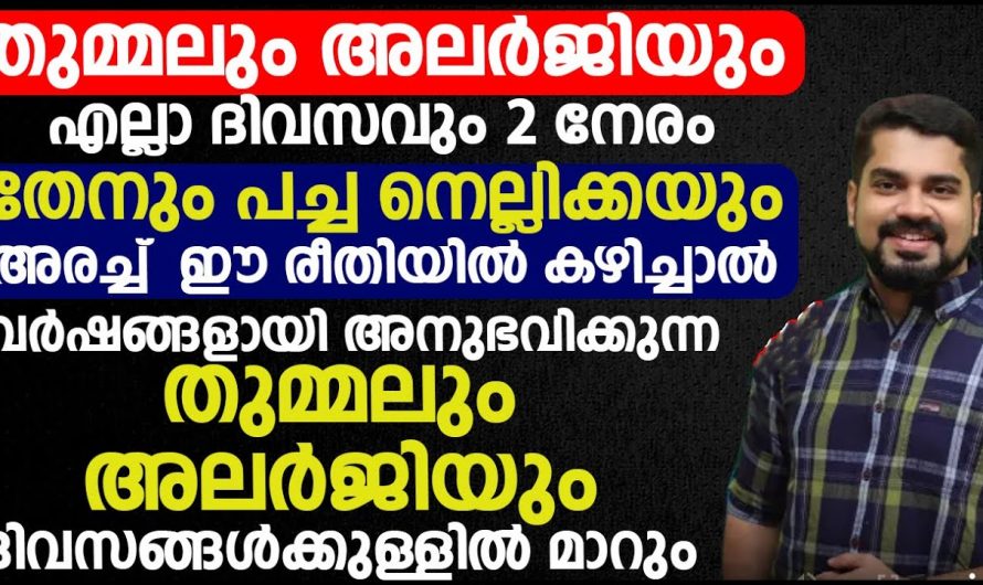 തുടർച്ചയായ ജലദോഷം തുമ്മൽ എന്നിവയ്ക്ക് ഒരുനല്ല പരിഹാരം.