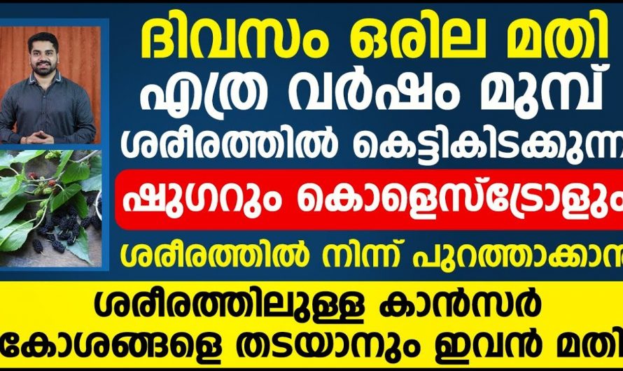 നിങ്ങൾക്കറിയാമോ പ്രമേഹം മാറ്റുന്ന അത്ഭുത ഇലയെ കുറിച്ച്.