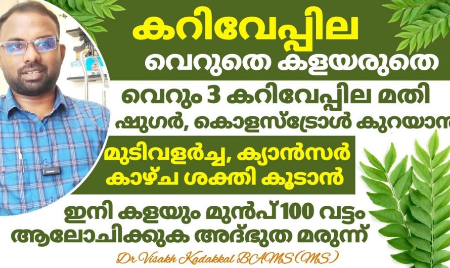 കൊളസ്ട്രോളും പ്രമേഹവും മാറുന്നതിന് മൂന്ന് കറിവേപ്പില ദിവസവും ഇങ്ങനെ കഴിക്കു.