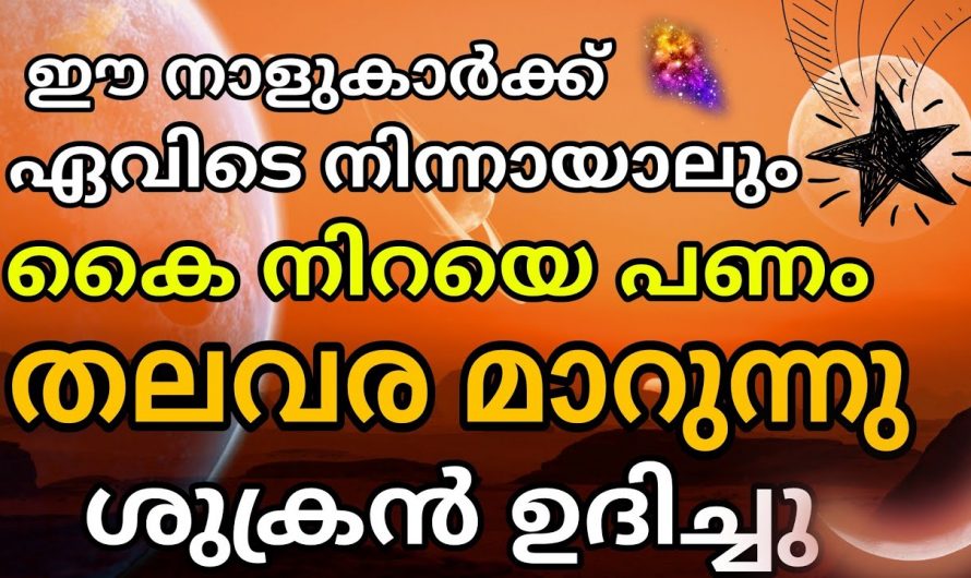 നിങ്ങളും ഈ നക്ഷത്രക്കാരാണോ, എങ്കിൽ നിങ്ങളുടെ ശുക്രൻ ഉദിച്ചു കഴിഞ്ഞു.