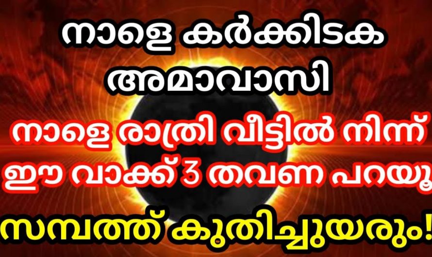 ഈ മന്ത്രം ജപിക്കുക, അല്പം കല്ലുപ്പ് ഇങ്ങനെ ചെയ്യുക, നിങ്ങളുടെ ഏത് ആഗ്രഹവും ഈ അമാവാസിയിൽ നടക്കും.