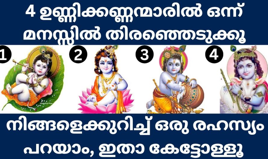 നിങ്ങളുടെ ജീവിതവുമായി ബന്ധപ്പെടുത്താവുന്ന ചില കാര്യങ്ങൾ ഈ ഉണ്ണിക്കണ്ണന്റെ ചിത്രം സംസാരിക്കും.