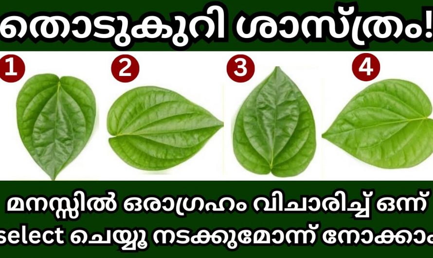 ഈ നാല് വെറ്റിലയിൽ നിന്നും അറിയാം നിങ്ങളുടെ ആഗ്രഹ സഫലീകരണത്തിനുള്ള സമയം.