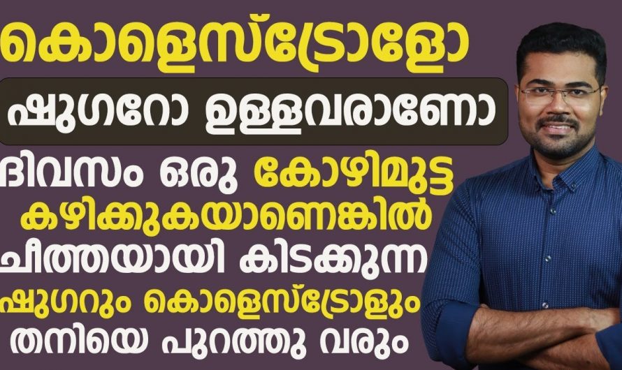 ഇനി കോഴി മുട്ട കഴിച്ചും കൊളസ്ട്രോൾ നിയന്ത്രിക്കാം. നിങ്ങളെയും പ്രമേഹം കൊളസ്ട്രോൾ എന്നിവ അലട്ടുന്നുണ്ടോ.