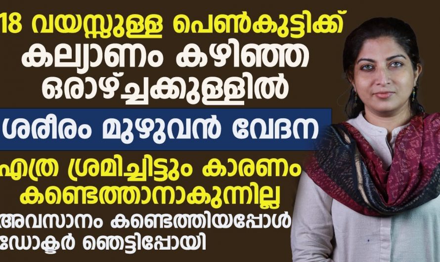 നിങ്ങളുടെ ഭാര്യമാർ ഇങ്ങനെ ചെയ്യുന്നുണ്ടോ. നിങ്ങൾക്കും ജീവിതം കൂടുതൽ സന്തോഷകരമാക്കാം.