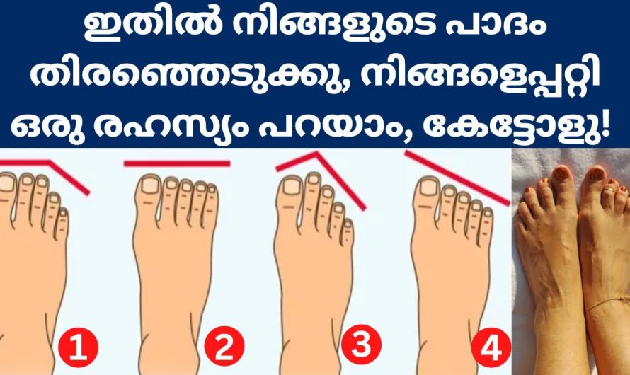 നിങ്ങളുടെ ഈ പാത ഘടന നിങ്ങളെ കുറിച്ചുള്ള രഹസ്യങ്ങൾ പറയും.