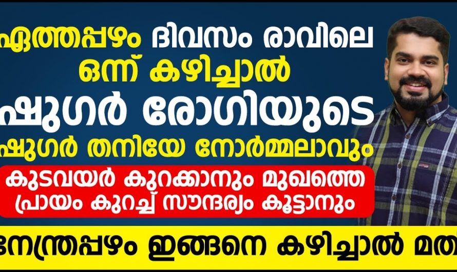 നേന്ത്രപ്പഴം ഒരു അത്ഭുത ഭക്ഷണം. പ്രമേഹ രോഗിയ്ക്കും നേന്ത്രപ്പഴം ഇനി ശീലമാക്കാം.