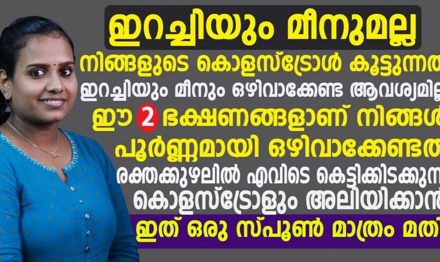 നിങ്ങൾ ഒരു മാംസാഹാരിയാണോ, കൊഴുപ്പും കൊളസ്ട്രോളും കുറയുന്നില്ല. മാംസമല്ല പ്രശ്നക്കാരൻ.