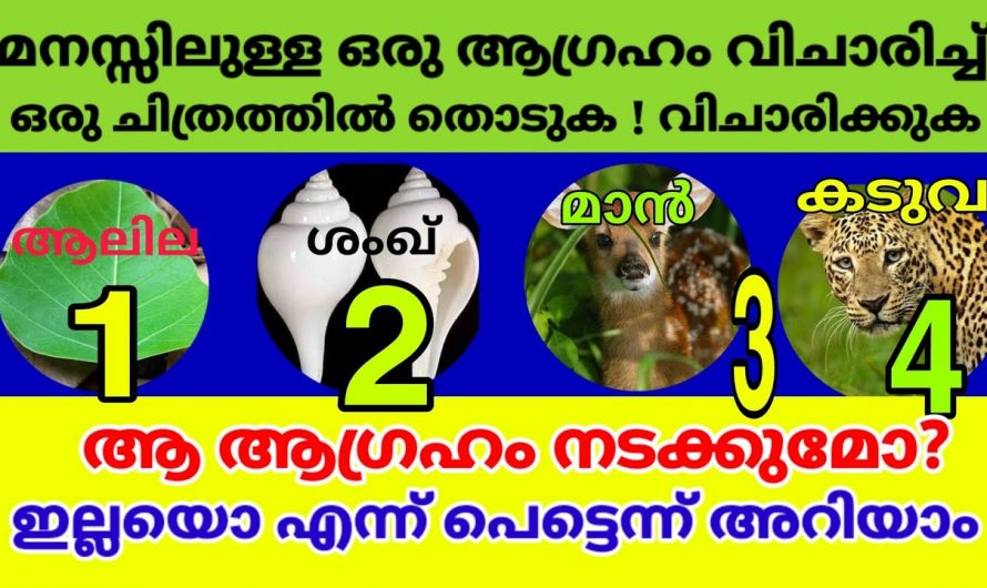 നിങ്ങളുടെ മുൻപോട്ടുള്ള ജീവിതം എങ്ങനെയെന്നറിയാം, നാലിൽ ഒന്ന് തൊടു.