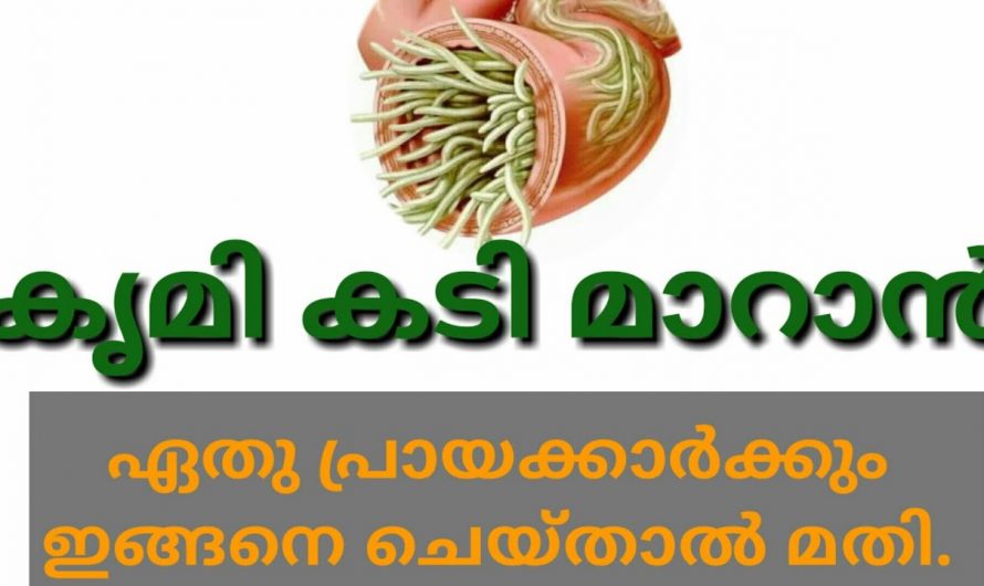 നിങ്ങളുടെ കുഞ്ഞിനെ നിരന്തരമായി കൃമി ശല്യം ഉണ്ടാകുന്നുണ്ടോ.  കുഞ്ഞിലെ കൃമി ശല്യം മാറാൻ നല്ല ഒരു പ്രതിവിധി.