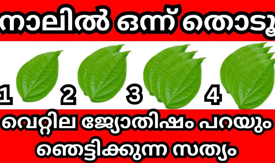 തൊടുകുറി ശാസ്ത്രം ഇനി വെറ്റില ജ്യോതിഷത്തിലൂടെ.