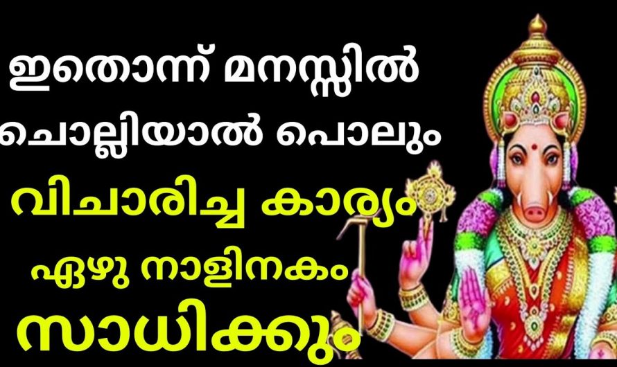 മനസ്സിൽ ഈ മന്ത്രം ധ്യാനിച്ചാൽ മതി ഏഴു ദിവസത്തിനകം ഏത് വലിയ ആഗ്രഹവും സാധിക്കും.