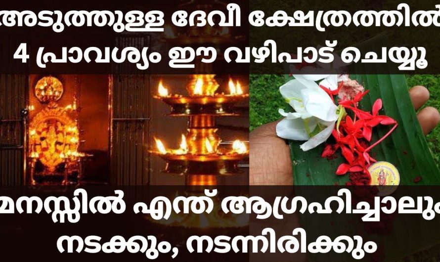 മനസ്സിലുള്ള ആഗ്രഹം എന്തുതന്നെയായാലും നടക്കും. ദേവി പ്രീതിക്കായി ഈ വഴിപാട് ചെയ്യൂ.