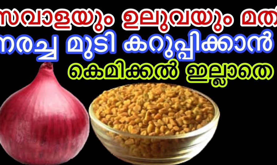 അടുക്കളയിൽ സബോളയില്ലാത്ത വീടുണ്ടോ, ഇനി നാച്ചുറൽ ഡൈ സബോള കൊണ്ട്.