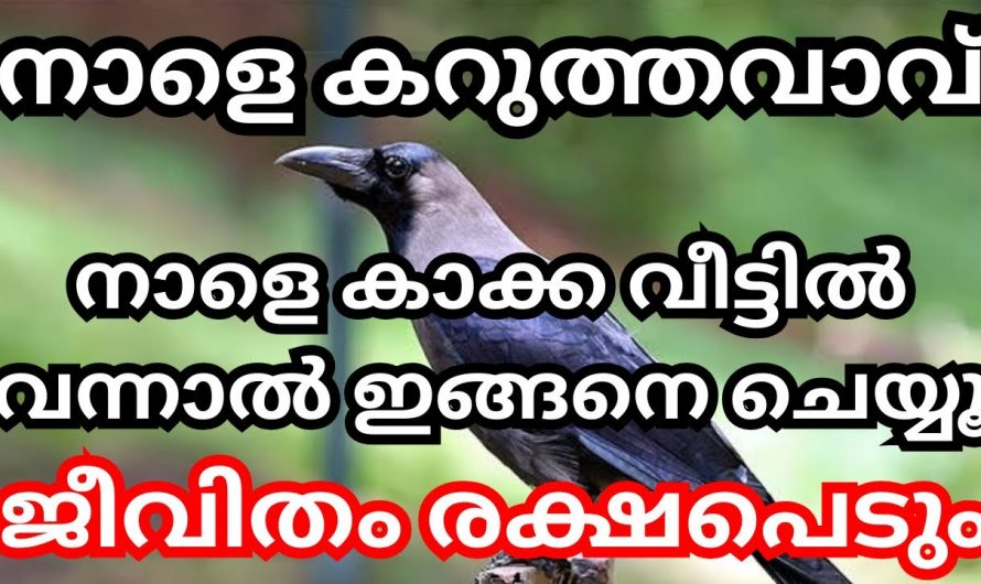 ഈ ദിവസം കാക്ക വീട്ടിൽ വന്നാൽ ചെയ്യേണ്ടത്. നാളെ ചിങ്ങമാസത്തിലെ കറുത്ത വാവ്.