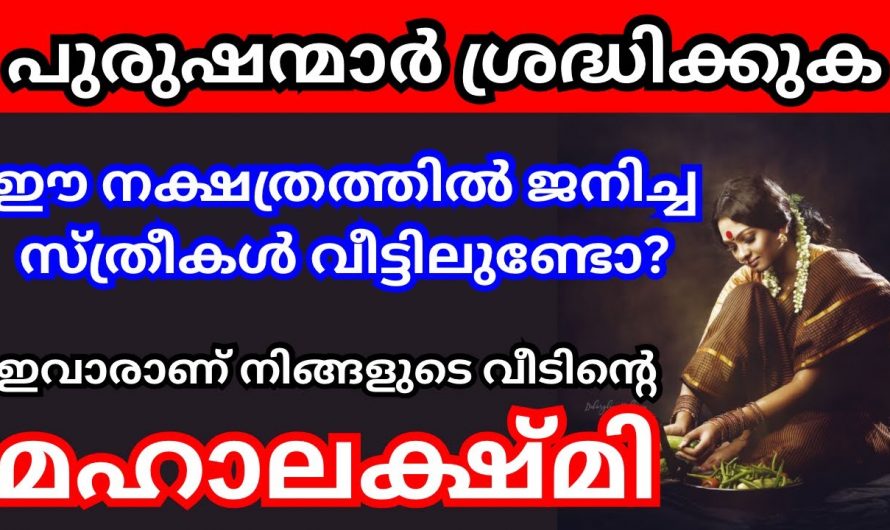 ഈ നക്ഷത്രക്കാർ നിങ്ങളുടെ വീടിന്റെ അനുഗ്രഹമാണ്. നിങ്ങളുടെ വീട്ടിലും ഈ നക്ഷത്രക്കാരുണ്ടോ.