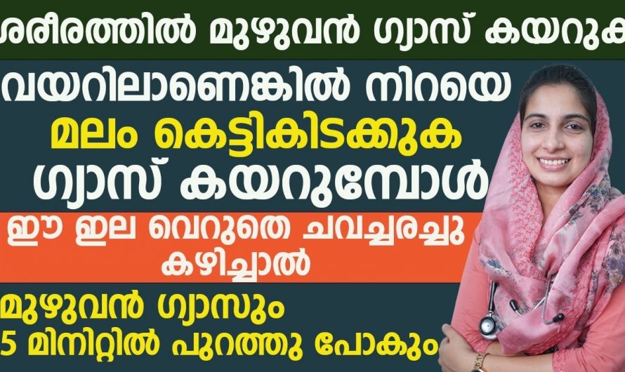 എത്ര വലിയ ഗ്യാസും വളരെ നിസ്സാരമായി പരിഹരിക്കാം. ഇനി നെഞ്ചിരിച്ചിലും പുളിച് തികട്ടലും ഉണ്ടാകില്ല.