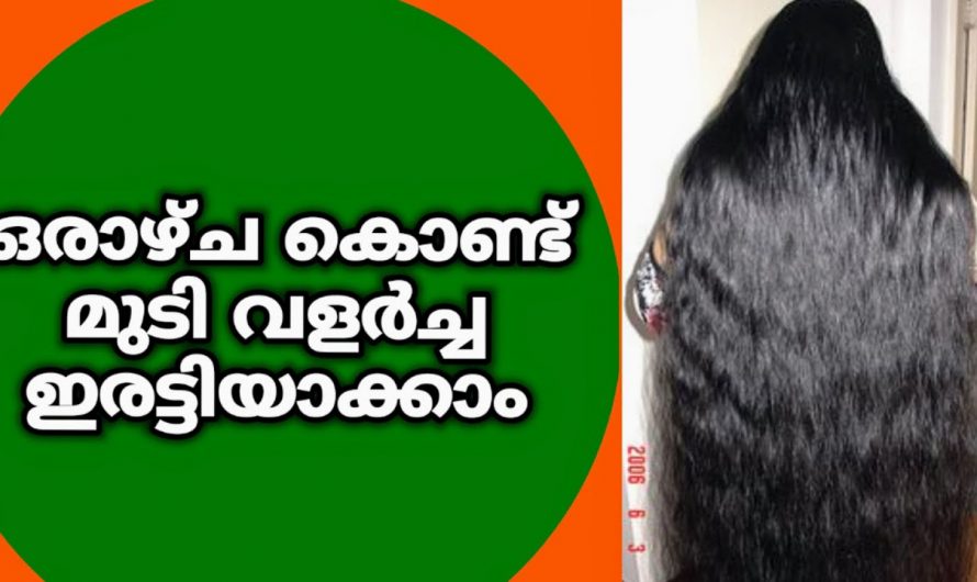 ഇനി മുടി വളർന്നില്ലെന്ന് ആരും പറയില്ല. നിങ്ങളുടെ മുടി വളർച്ച 2 ഇരട്ടിയാകും.