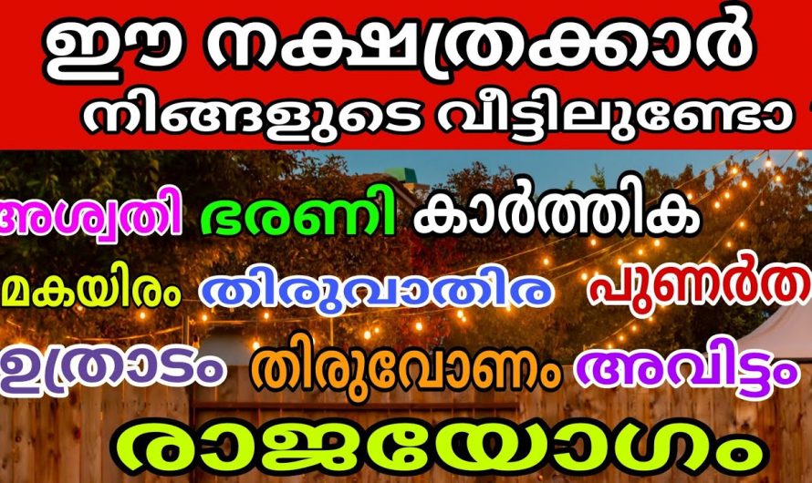 നിങ്ങൾക്കും ഇനി കിരീടമില്ലാത്ത രാജാക്കന്മാരെ പോലെ ജീവിക്കാം.