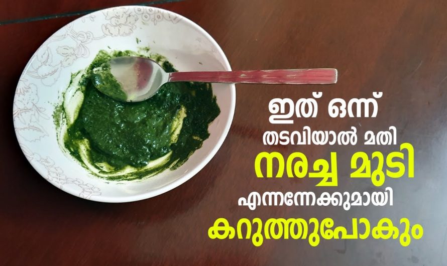 ഒരിക്കൽ ഈ ഡൈ ഉപയോഗിച്ചാൽ പിന്നെ മറ്റൊന്നും നിങ്ങൾ ഉപയോഗിക്കില്ല. നരച്ച മുടിക്ക് ഇനി എന്നെന്നേക്കും വിട.